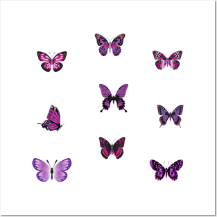 purple butterfly Posters and Art